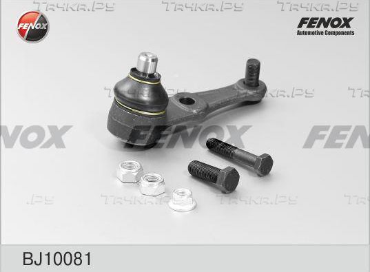 Шаровая опора Fenox нижняя для Mazda 323 VI (BJ) 1994-1998. Артикул BJ10081