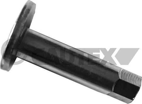 Рычаг задней подвески Cautex. Артикул 758506