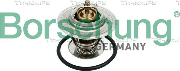 Термостат Borsehung для SEAT Leon II 2005-2010. Артикул B18259