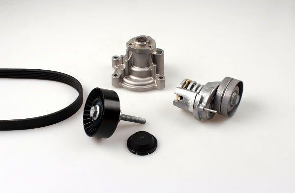 Водяной насос + комплект ручейковых ремней Hepu. Артикул PK05810