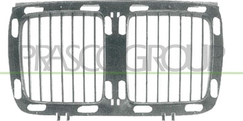 Решетка радиатора Prasco (полимерный материал). Артикул BM0422001