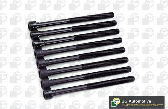 Комплект болтов ГБЦ BGA для Subaru Justy IV 2007-2011. Артикул BK2399