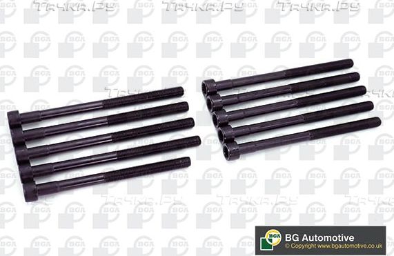 Комплект болтов ГБЦ BGA для SsangYong Actyon I 2005-2011. Артикул BK2376