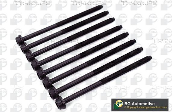 Комплект болтов ГБЦ BGA для Skoda Fabia II 2009-2014. Артикул BK3365