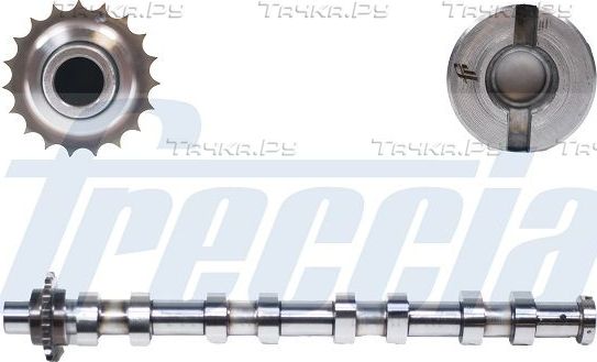 Распредвал Freccia для Citroen Xsara Picasso 2004-2011. Артикул CM05-2145