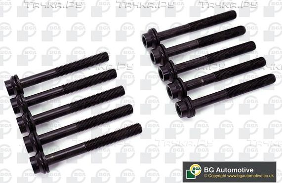 Комплект болтов ГБЦ BGA для Opel Meriva B 2010-2017. Артикул BK0160