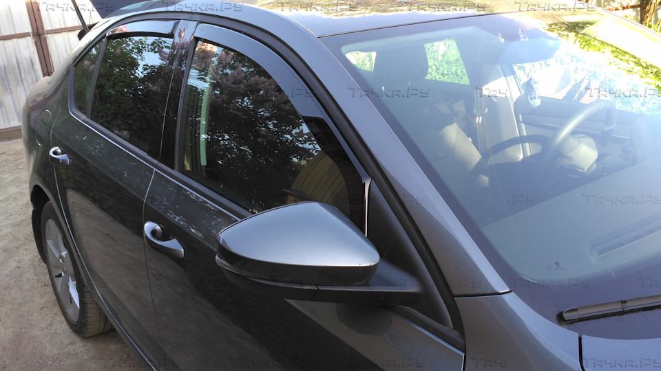 Window Deflectors Chrome Strip Moulding Cobra Tuning S21513cr Car