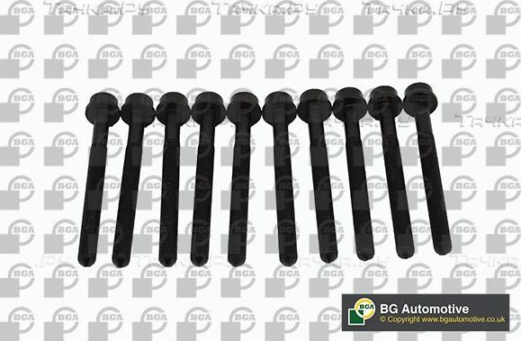 Комплект болтов ГБЦ BGA для SEAT Toledo III 2007-2009. Артикул BK0102