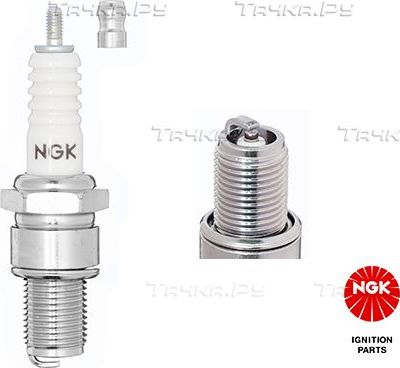 Свеча зажигания NGK. Артикул 7310