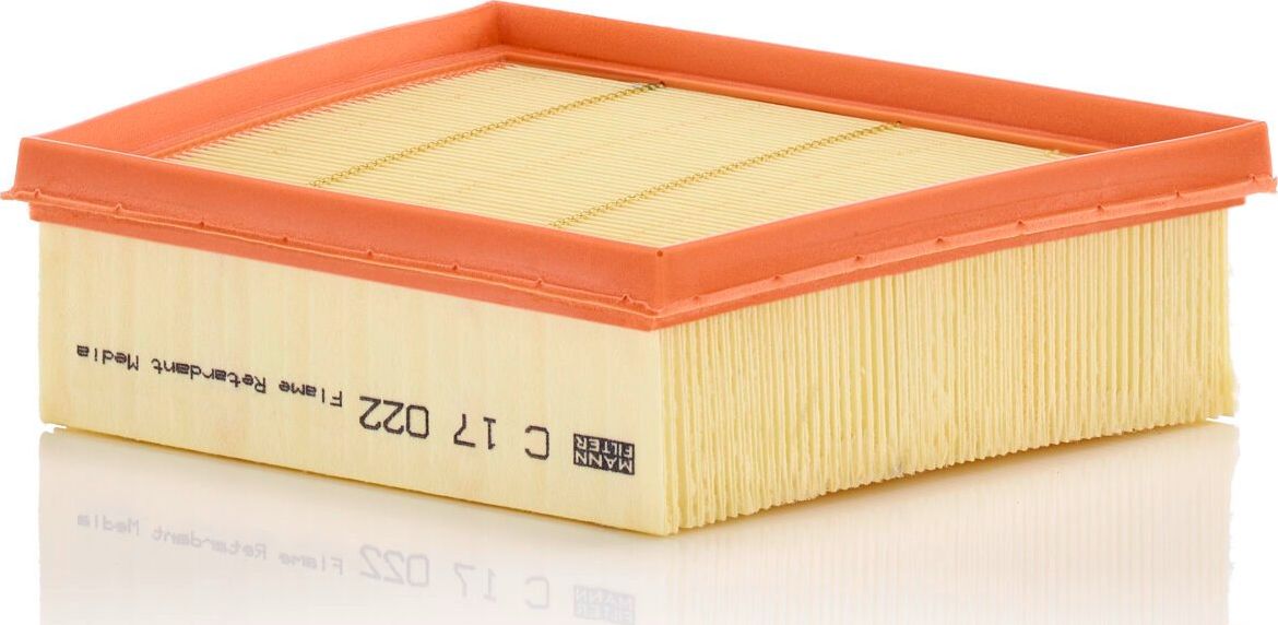 Воздушный фильтр Mann-Filter. Артикул C 17 022