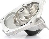 Помпа (водяной насос) BSG для Renault Vel Satis I 2002-2009. Артикул BSG 65-500-014