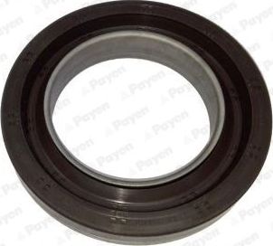 Сальник коленвала Payen (MVG (кремнийорганический каучук)). Артикул NA5202