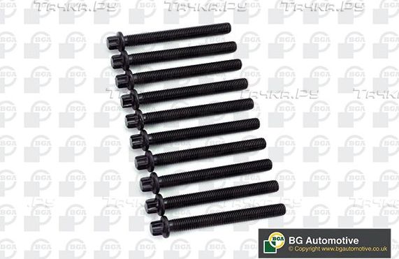 Комплект болтов ГБЦ BGA для BMW 3 IV (E46) 1997-2002. Артикул BK6387