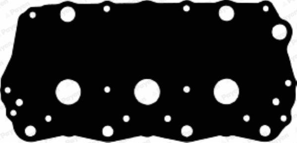 Прокладка клапанной крышки 441724 Payen (резина/металл). Артикул JM5035