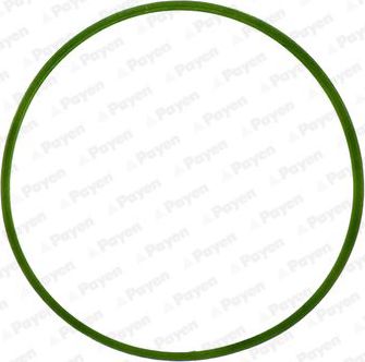 Прокладка впускного коллектора Payen для Alfa Romeo 159 2005-2011. Артикул JD5982
