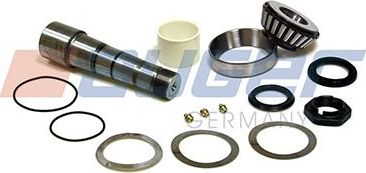 Ремкомплект шкворня поворотного кулака  Auger для Renault Magnum 1990-2013. Артикул 73419