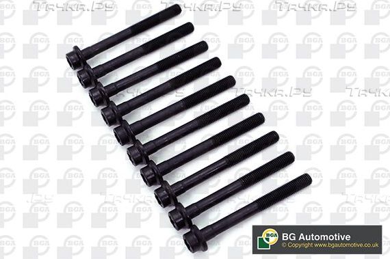 Комплект болтов ГБЦ BGA для Fiat Punto II 1999-2012. Артикул BK4303
