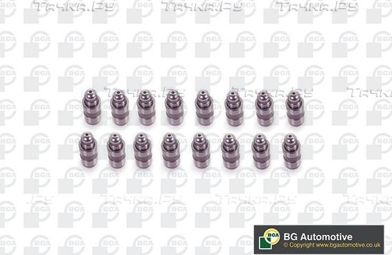 Гидрокомпенсатор BGA для BMW 5 VII (G30/G31) 2017-2026. Артикул HL9100