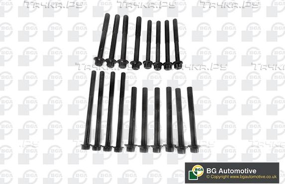 Комплект болтов ГБЦ BGA для Ford Ranger II 2006-2012. Артикул BK2319