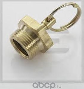 пробка сброса конденсата М22х1,5 (PE Automotive). Артикул 07624900A