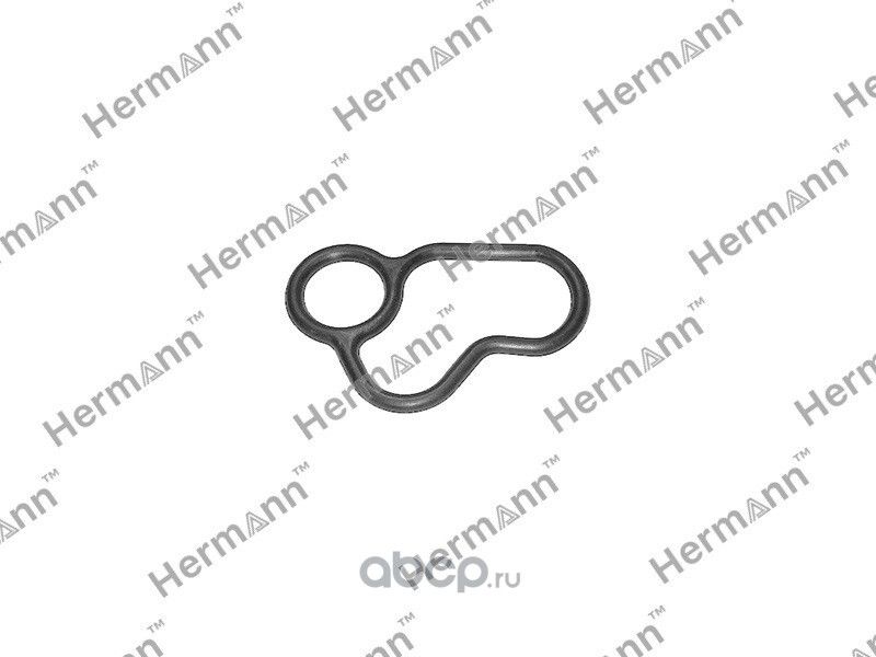 Прокладка (Hermann). Артикул HR21300JG31A