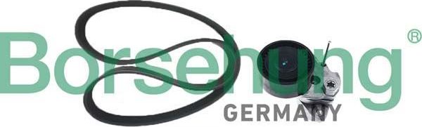 ремень генератора с натяжителем (к-т) Borsehung. Артикул B12361