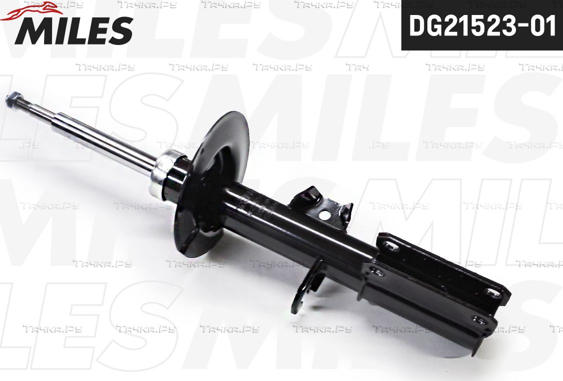 Амортизатор Miles передний правый для BMW X5 I (E53) 2000-2006. Артикул DG21523-01