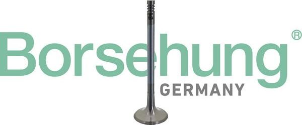 Поршневые кольца Borsehung для Audi A8 IV (D5) 2017-2026. Артикул B10342