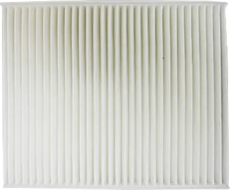 Фильтр салонный Ford Focus III Kuga (Riginal). Артикул RGCU25007