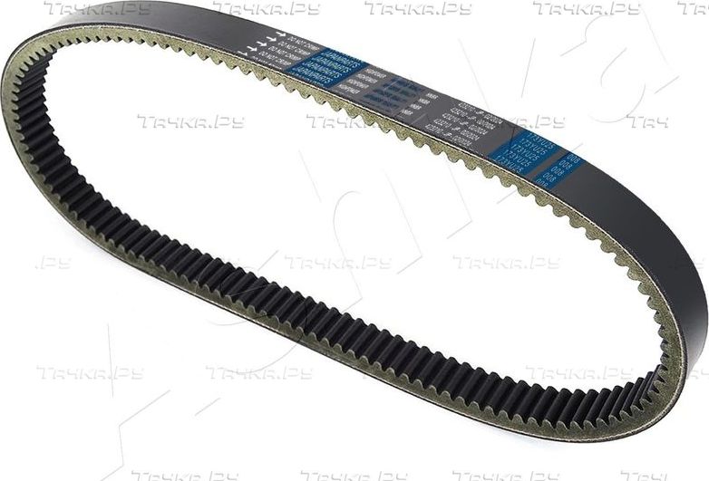 Ремень ГРМ ASHIKA для Toyota Camry 20 (V20, XV20) 1996-2001. Артикул 40-02-214