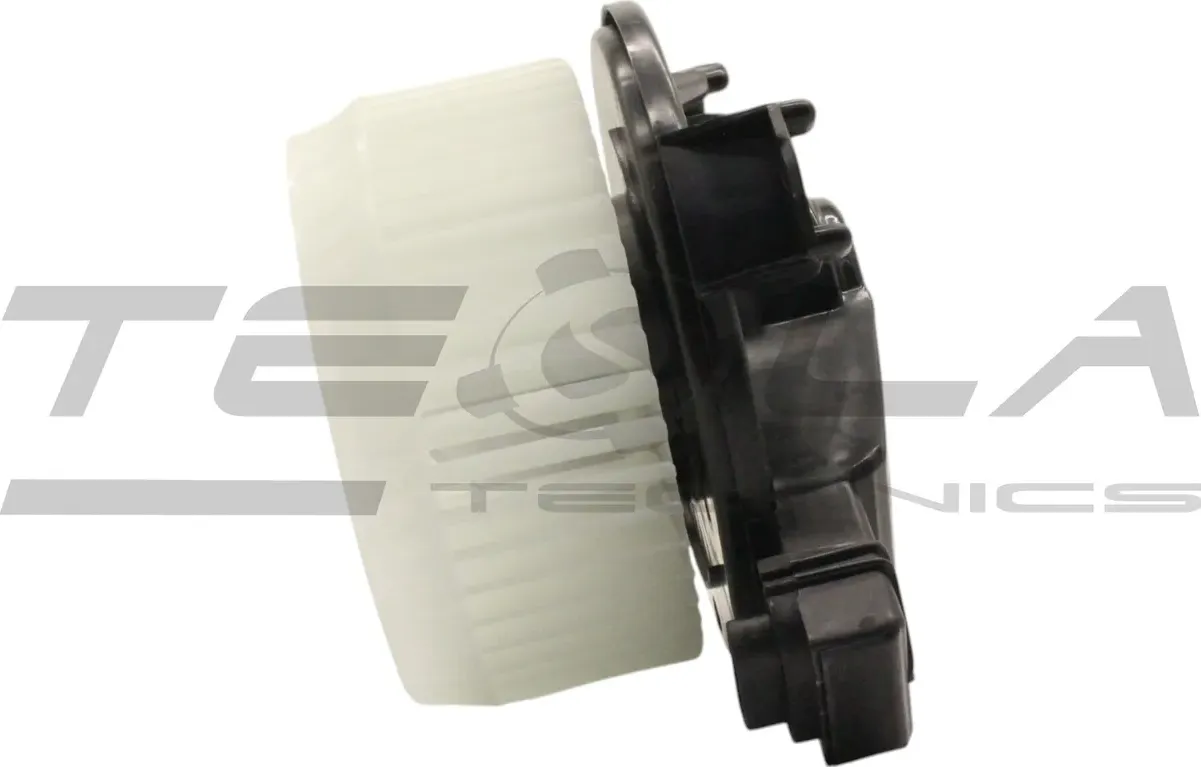 Мотор отопителя салона (Tesla Technics). Артикул TT21171