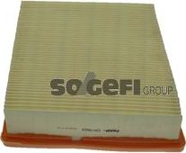 Воздушный фильтр Fram. Артикул CA10653