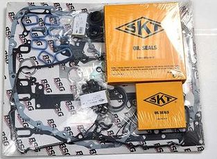 Прокладки двигателя (комплект) BSG для LTI TX I 2002-2002. Артикул BSG 30-115-001