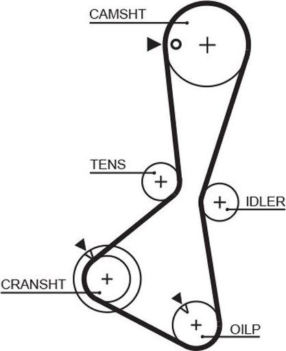 Ремень ГРМ Gates (HNBR (Hydrierter Acryl-Nitril-Butadien-Kautschuk)). Артикул 5374XS