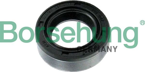 Сальник Borsehung. Артикул B17837