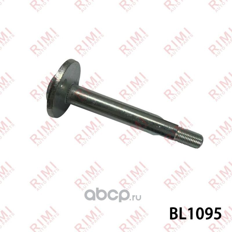 Эксентриковый болт MITSUBISHI DELICA / SPACE GEAR 2.0 (PA3V) 1996-2004 (Rimi). Артикул BL1095