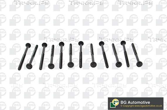Комплект болтов ГБЦ BGA для Volvo C30 I 2010-2012. Артикул BK2304