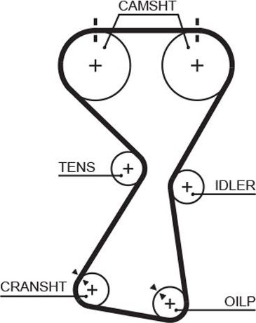 Ремень ГРМ Gates (HNBR (Hydrierter Acryl-Nitril-Butadien-Kautschuk)). Артикул 5534XS