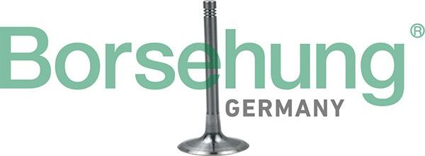 Впускной клапан Borsehung. Артикул B19028