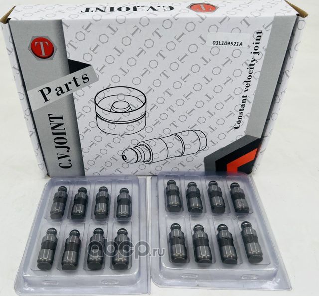 Гидрокомпенсатор 2,5/2,7/3,0TDI/CAAA+2,0TDI 16V 2007-> Ssang Yong (Trassavto). Артикул TRYC31