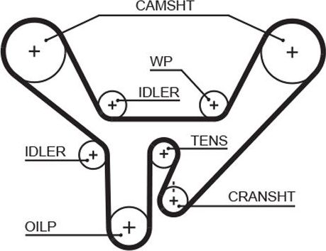 Ремень ГРМ Gates PowerGrip® для Audi S8 I (D2) 1996-1998. Артикул 5518XS