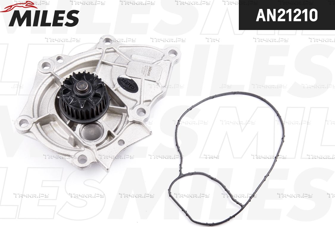 Помпа (водяной насос) Miles наружный для SEAT Leon III 2013-2026. Артикул AN21210