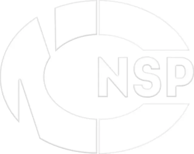 Ролик поликлинового ремня направляющий (NSP). Артикул NSP0124436052