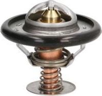 Термостат Thermotec. Артикул D2C002TT