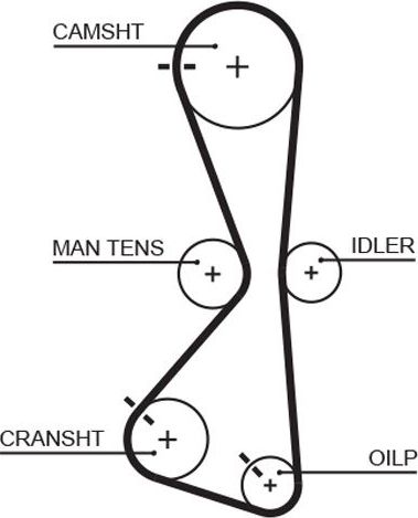 Ремень ГРМ Gates (HNBR (Hydrierter Acryl-Nitril-Butadien-Kautschuk)). Артикул 5609XS