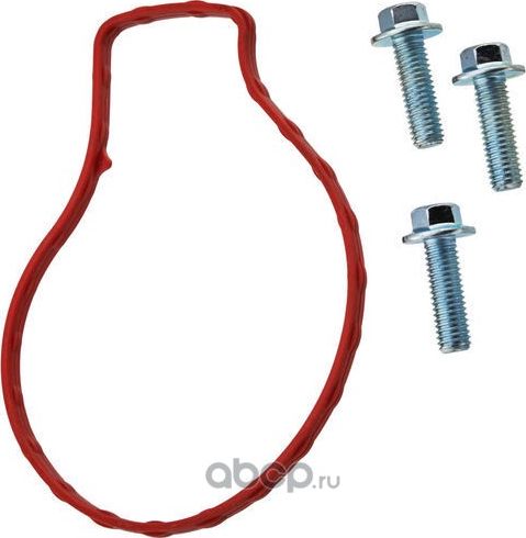 Водяной насос (Zikmar). Артикул Z69605R