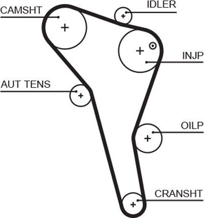 Ремень ГРМ Gates (HNBR (Hydrierter Acryl-Nitril-Butadien-Kautschuk)). Артикул 5622XS