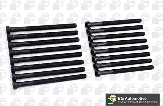 Комплект болтов ГБЦ BGA для Volkswagen Touareg I 2004-2010. Артикул BK3369