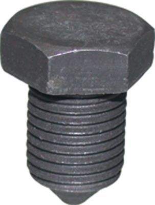 Сливная пробка масляного поддона двигателя Birth. Артикул 4187