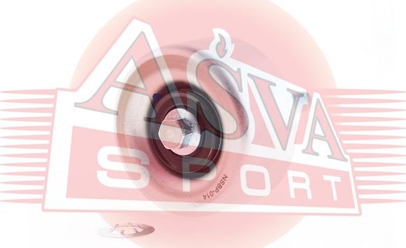 Натяжной ролик (натяжитель) приводного клинового ремня Asva. Артикул NSBP-014